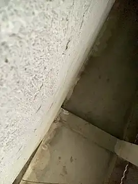 Snapshot of Lilik2 chatting on January 2026 08:08:01 AM Lilik2 online show from January 2026 08:08:01 AM