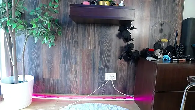 RavenFoxxy online show from February 2026 06:52:01 AM