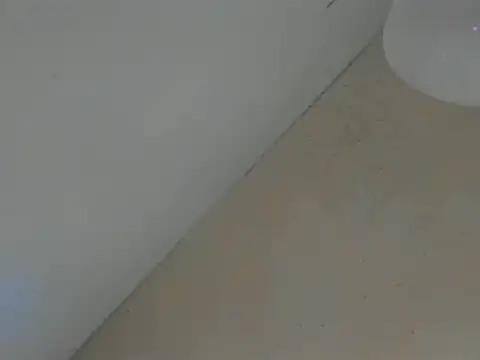 SweeXioji online show from March 2026 06:59:02 PM