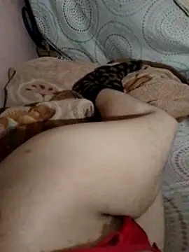 Almas-arabic online show from April 2026 11:39:02 PM