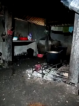 ava-dellght online show from March 2026 12:49:02 AM