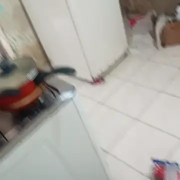  - -lu - online show from December 2025 04:05:01 PM