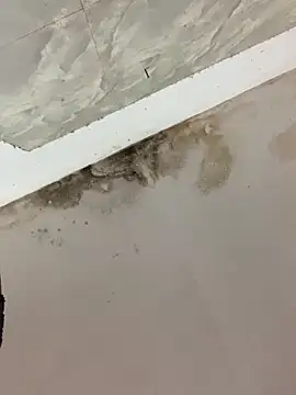 Mon babyy online show from February 2026 04:27:02 AM