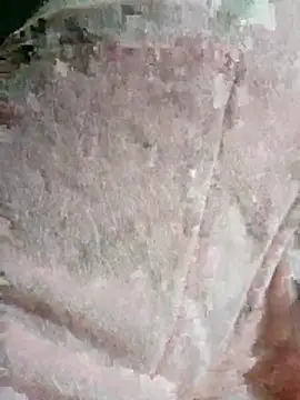 Snapshot of -Batta- chatting on January 2026 11:29:02 PM -Batta- online show from January 2026 11:29:02 PM