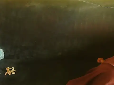 Snapshot of Bristi_03 chatting on June 2026 01:02:02 PM Bristi 03 online show from June 2026 01:02:02 PM