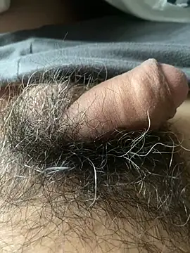 hairylittledic online show from June 2026 10:55:02 PM