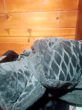 Amiluli online show from January 2026 10:01:02 PM