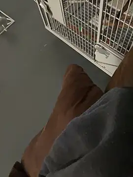 Big German cock974 online show from July 2026 02:21:02 PM