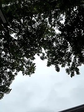 Snapshot of cmvoo chatting on December 2025 06:53:02 AM cmvoo online show from December 2025 06:53:02 AM