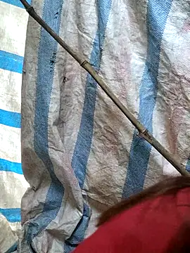 Snapshot of mit0-77 chatting on February 2026 12:51:01 AM mit0-77 online show from February 2026 12:51:01 AM