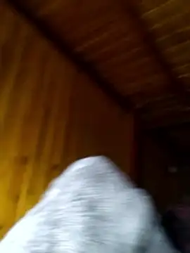 neko-nancy online show from February 2026 02:29:02 PM