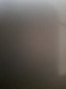 piedic online show from March 2026 10:21:01 AM