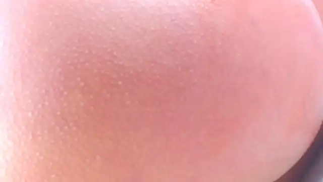 lorenaanalx online show from February 2026 02:59:02 PM