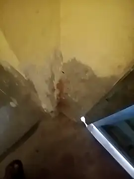 ahannaskar228 online show from December 2025 09:17:01 AM