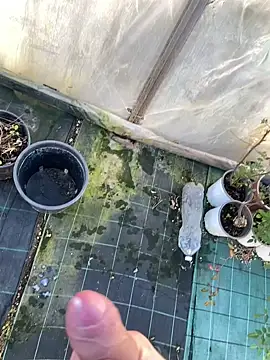 Snapshot of marcoboss chatting on January 2026 01:50:01 PM marcoboss online show from January 2026 01:50:01 PM