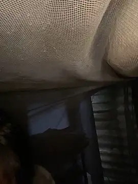 Nika-be online show from February 2026 03:44:02 AM