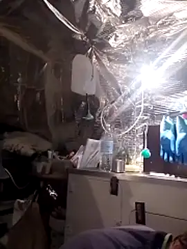 Quebec46 online show from April 2026 09:37:01 AM