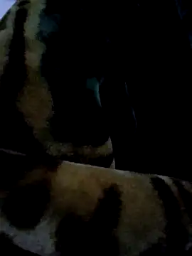 Snapshot of aman4404 chatting on January 2026 10:30:02 AM aman4404 online show from January 2026 10:30:02 AM