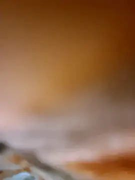 Snapshot of aman4404 chatting on January 2026 05:21:01 AM aman4404 online show from January 2026 05:21:01 AM