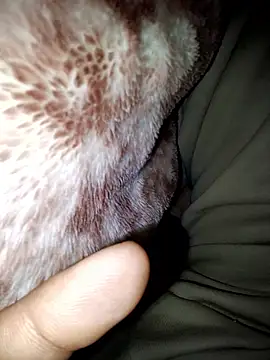 Snapshot of aman4404 chatting on January 2026 06:08:01 AM aman4404 online show from January 2026 06:08:01 AM