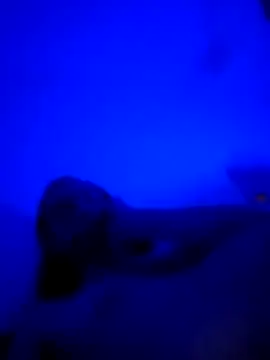 vladopen online show from January 2026 05:21:02 AM