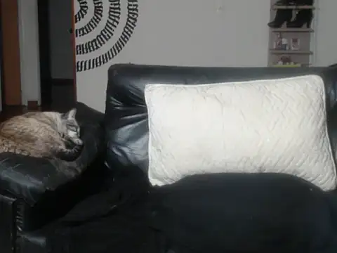 BeautyYoungblond online show from March 2026 02:39:01 AM