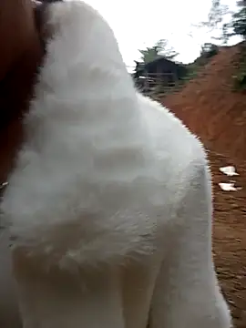 Girl cutee online show from February 2026 09:19:02 AM