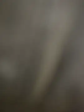 Sammyboii006 online show from December 2025 06:13:02 PM