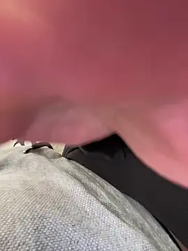 LienalWarplane online show from March 2026 12:20:01 PM