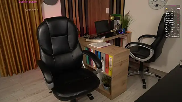 Snapshot of secretary_bj chatting on October 2025 01:17:02 AM secretary bj online show from October 2025 01:17:02 AM