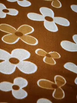 sweety 1433 online show from January 2026 08:06:02 AM