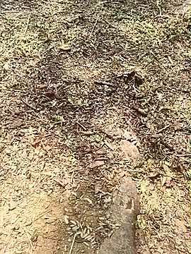 Sheela Sex90 online show from May 2026 04:17:02 AM
