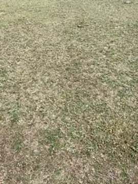 Tamilpaiyan07 online show from February 2026 03:49:01 AM