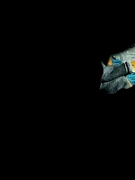 Snapshot of Hot2602 chatting on February 2026 07:01:01 PM Hot2602 online show from February 2026 07:01:01 PM