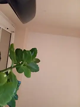 Marichka-YurCash online show from January 2026 04:09:02 PM