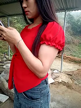 congchua977 online show from February 2026 02:53:01 AM