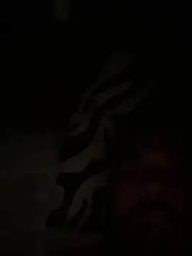 paco199923 online show from February 2026 09:15:01 AM