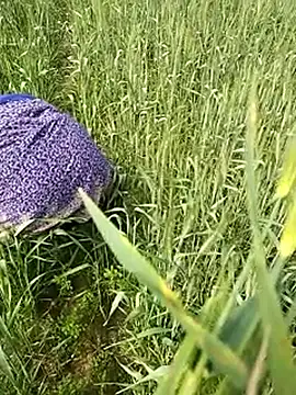 Snapshot of hornycouple20000 chatting on February 2026 06:45:02 AM hornycouple20000 online show from February 2026 06:45:02 AM