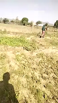 hornycouple20000 online show from April 2026 03:34:01 AM