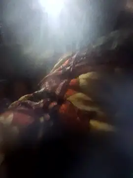 Couples9090 online show from January 2026 03:58:02 PM