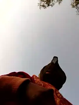 Jyoti sekh online show from February 2026 02:04:02 AM