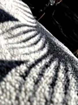 Bhavna8080 online show from February 2026 08:20:02 PM