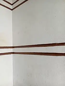 xiaogoal online show from March 2026 01:33:02 AM