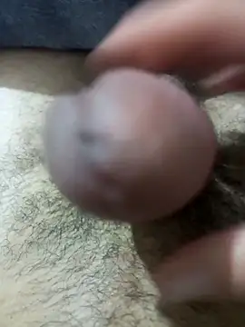 So1sh online show from February 2026 04:33:02 AM