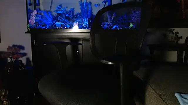 Snapshot of EspanolVato chatting on January 2026 10:50:01 AM EspanolVato online show from January 2026 10:50:01 AM