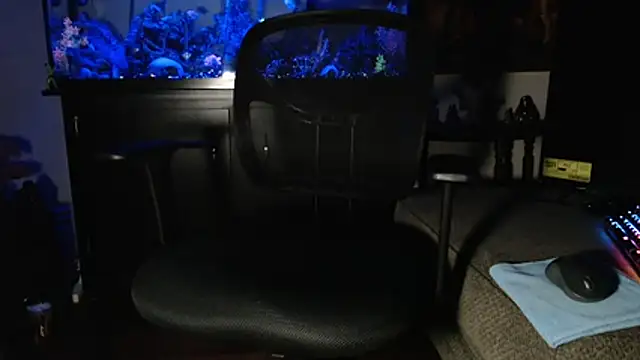 EspanolVato online show from February 2026 10:42:01 AM