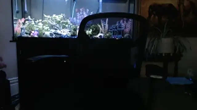 Snapshot of EspanolVato chatting on March 2026 11:45:01 PM EspanolVato online show from March 2026 11:45:01 PM