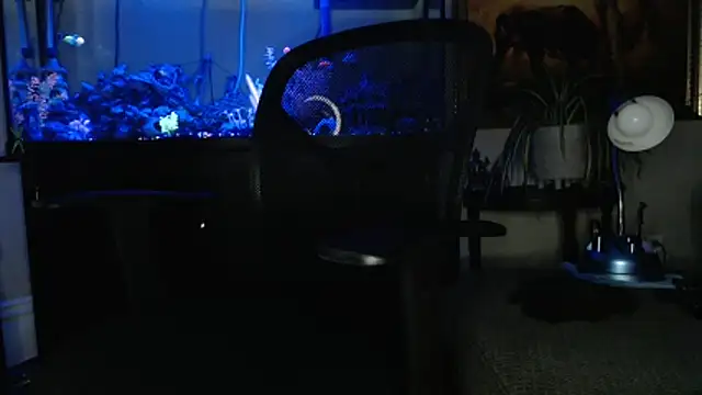 Snapshot of EspanolVato chatting on March 2026 09:12:02 AM EspanolVato online show from March 2026 09:12:02 AM