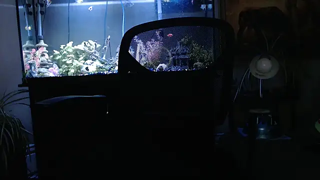 Snapshot of EspanolVato chatting on March 2026 12:06:01 AM EspanolVato online show from March 2026 12:06:01 AM