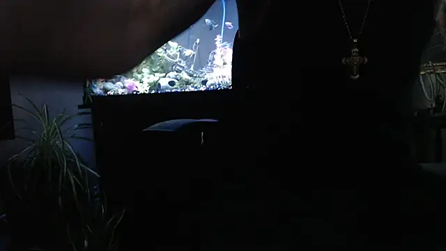 Snapshot of EspanolVato chatting on April 2026 11:46:02 PM EspanolVato online show from April 2026 11:46:02 PM